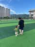 森马洞洞鞋男夏季外穿踩屎感包头拖鞋青少年户外运动两用轻便沙滩凉鞋 薄荷曼巴 42-43 实拍图