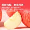 东方甄选洛川苹果脆甜多汁富士苹果新鲜水果坏果包赔 4斤-8.5装 4斤 （特小果 150g+ 11-14个） 实拍图