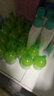 水卫士玻璃清洁剂480g*5瓶  浴室车窗清洗剂家用擦窗卫生间去除水垢水渍 实拍图