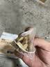 奥祥堂黄芪灵芝甘麦饮黄芪浮小麦止汗茶大枣汤养生茶泡水喝的官方旗舰店 实拍图