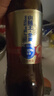 蓝带（blue ribbon）小蓝王全麦啤酒8度480ml*12瓶 实拍图