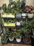 索尔诺花架客厅落地式置物架阳台庭院多肉花盆托架可移动阶梯式简约花架 三层9123黑纱纹【长100*高100】 实拍图