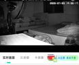 360摄像头9pro 高清400万像素微光全彩家用监控手机远程双向通话360度旋转婴儿看护器 实拍图