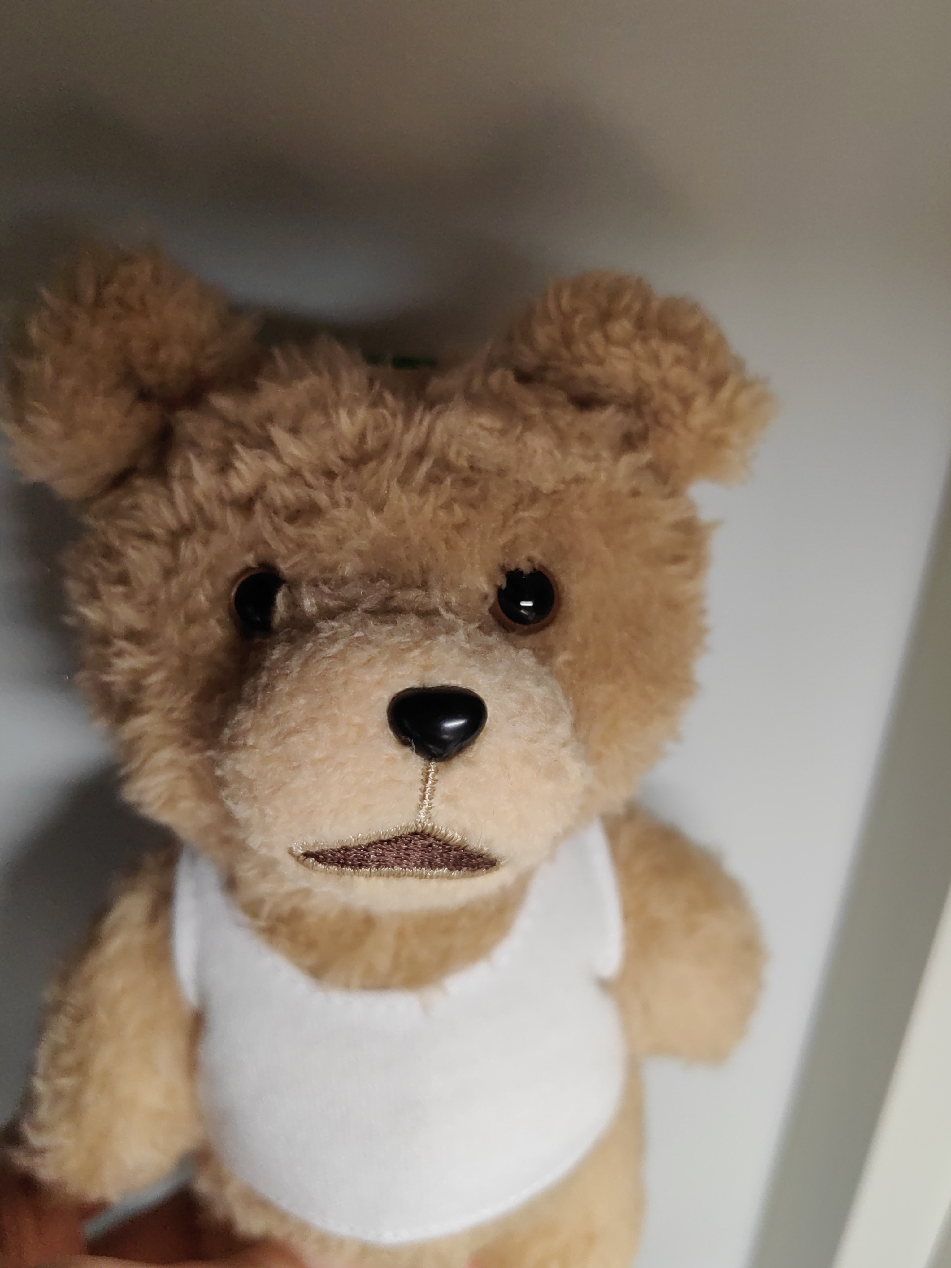 POP MART泡泡玛特 Ted2 泰迪熊可动毛绒挂件潮玩周边玩具礼物 随机1个 实拍图