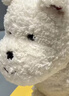 babycare西高地飞行员限定礼盒儿童动物毛绒玩偶仿真玩具狗节日生日礼物 实拍图