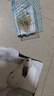 喜帅兔子提摩西草 精选烘干北提提草龙猫兔粮荷兰猪主粮磨牙零食500g 实拍图