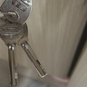 梅花（BLOSSOM）挂锁防锈锁 仓库车厢大门锁 家用学校商铺门锁 防盗叶片锁LS2940 实拍图