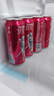 瓦伦丁（Wurenbacher）德国原装进口烈性啤酒15.3°P 500ml*24听精酿啤酒 劲爽 整箱囤货 实拍图