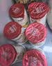 优诺（yoplait）优丝金菠萝酸奶135g*3杯 经典法式慢发酵 低温酸牛奶 营养早餐 实拍图