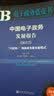 中国电子政务发展报告（2017）：“互联网+”创新政务服务新模式 实拍图