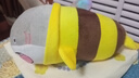 网红小鲨bee搞怪创意毛绒公仔抱枕生日情人节礼物 鲨鱼Bee 23厘米 实拍图