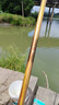达亿瓦（DAIWA）一击 轻量鲤鱼鲫鱼草鱼罗非 进口鱼竿手杆 轻硬挺 休闲台钓 4.5m 一击F 45.K（综合）【全能综合，大小通杀】 不支持使用/试用后退换货 实拍图