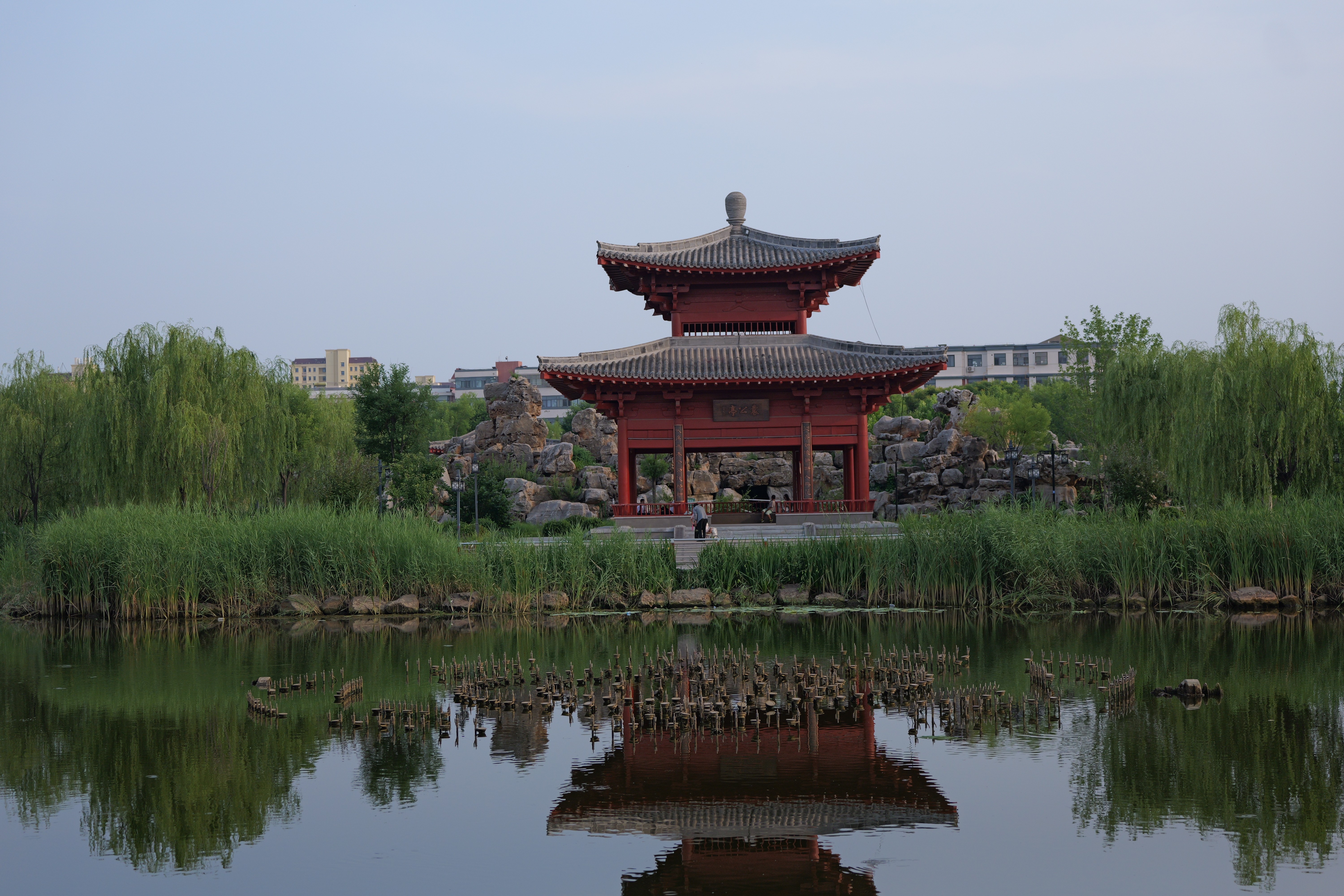 松下（Panasonic）Lumix S5M2 全画幅相机 L卡口 微单相机 无反数码相机 【24-60mm F2.8】套装 实拍图
