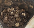 十月稻田 金钱菇 200g 干香菇 小香菇 山珍菌菇干货 煲汤火锅炒菜食材 实拍图