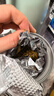 崇芝林国药药材苦荞四川大凉山全颗粒胚芽苦荞芥麦茶黄苦荞茶250g 实拍图