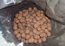 陶粒通用型垫底陶粒养花专用花盆铺面陶土种植土兰花多肉营养土 5升园艺陶粒（中颗粒12-16mm） 实拍图