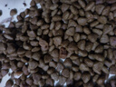 疯狂小狗 泰迪贵宾专用粮宠物幼犬成犬狗粮1.5kg3斤 实拍图
