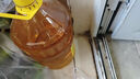 鲁花 食用油 物理压榨 葵花仁油6.18L  实拍图