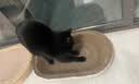 【京东快递】猫抓板磨爪猫窝椭圆形猫抓盆猫抓板巨大耐磨特大号 巨无霸椭圆61*36【15斤内 随机花边】 下单送猫薄荷 实拍图