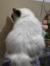 皇家猫粮 成猫猫粮 营养均衡 F32 通用粮 1-7岁 4.5kg*2 实拍图