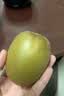 佳沛（zespri）新西兰阳光金奇异果10粒巨大果单果146-175g 猕猴桃水果礼盒 实拍图