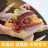 橙小萌 5年散养老鸽子 净重 450g*2只 新鲜现杀鸽子生鲜源头直发 实拍图