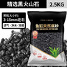 疯狂水草黑色火山石鱼缸专用养鱼过滤底沙颗粒鱼缸造景底砂装饰养乌龟专用 实拍图