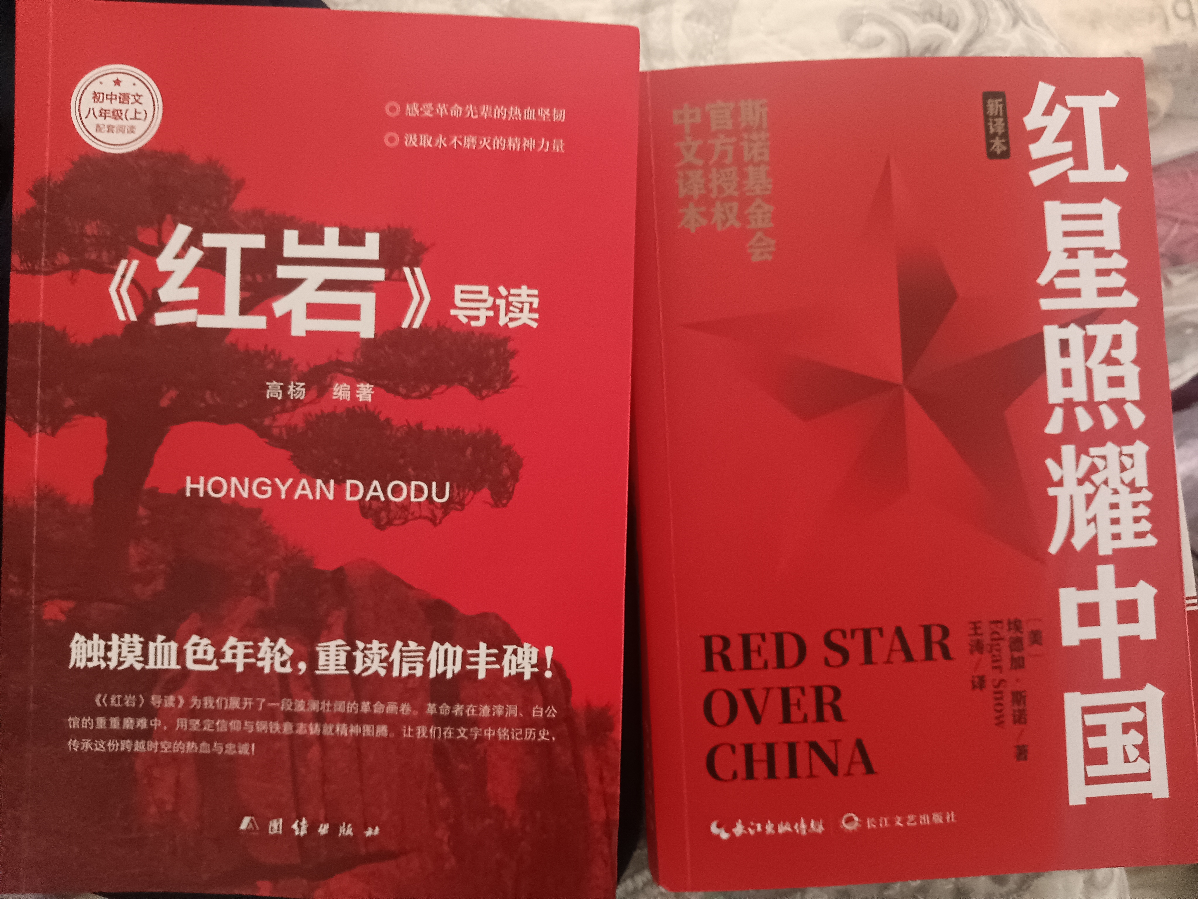 红星照耀中国和红岩导读（赠名师视频课）八年级上册必读正版课外阅读书初二8上语文课外人民阅读书籍推荐初中名著教育法布尔老师出版社经典常谈引读版【全2册】红星+红岩导读 实拍图