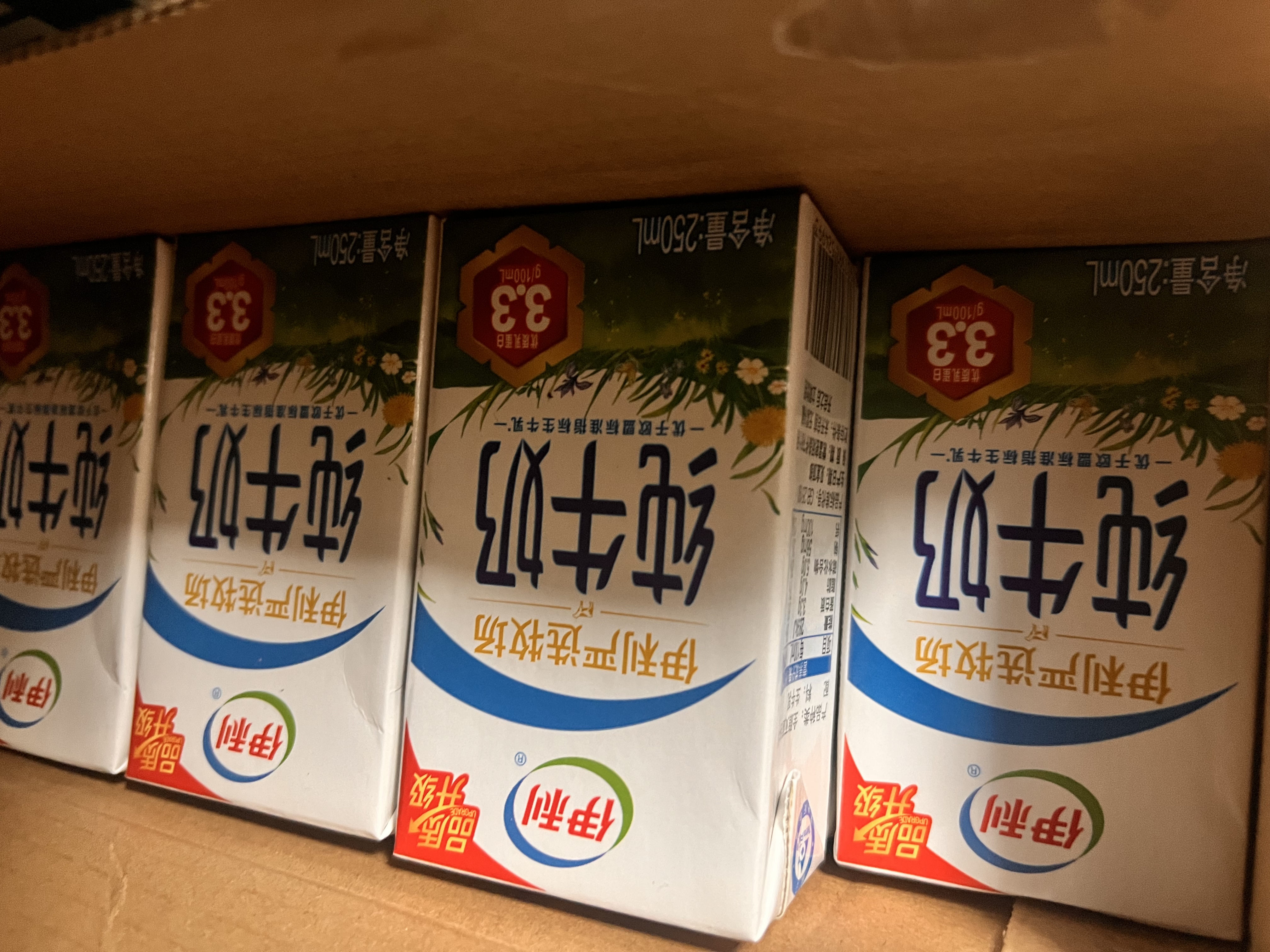 伊利严选牧场纯牛奶 250ml*16盒全脂牛奶 礼盒装 4月产 实拍图