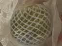 小汤山 圆白菜 500g 基地直供新鲜蔬菜GAP认证 实拍图