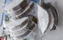 海名威冷冻格陵兰比目鱼900g/袋内含3包 鲽鱼 生鲜鱼类 海鲜 野生海捕 实拍图