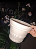 爱丽思（IRIS）特大号圆形花盆种树庭院超大加厚大盆景树木无花果蓝莓果树种植盆 12号米色 约17L (口径35.8cm) 实拍图