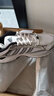 adidas「寻光者」SPIRITAIN 2.0厚底网面老爹鞋阿迪达斯轻运动   白色/金属银/黑色   40 实拍图