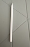 Apple/苹果 Pencil Pro 磁吸触控笔手写笔苹果笔电容笔书写绘画iPad笔 适用于iPad Pro/Air/mini机型 实拍图