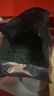 乐品乐茶高山绿茶浓香耐泡高性价比口粮茶特级明前春茶 500g自饮2026新茶 实拍图