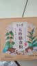 半山农 五行健睥散480克 薏苡仁茯苓山药莲子芡实粉中药材料早餐代餐粉 实拍图