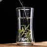 容山堂双层玻璃杯山峦龙井绿茶专用杯耐热防烫泡茶杯办公家用 玻璃束腰雪山绿茶杯 实拍图