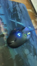 罗技（G） G502 HERO主宰者 有线鼠标 游戏鼠标  g502hero  可配重HERO引擎 礼盒送男友 RGB炫彩灯光 G502H（阿卡丽贴纸） 实拍图