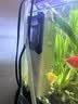 森森 小鲤鱼缸过滤器净水循环三合一内置水族箱过滤系统XQP-500F 6W 实拍图