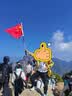 Naturehike挪客初雪EXT1三节碳素登山杖碳纤维户外伸缩徒步专业登山杖外锁 实拍图