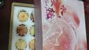 山姆伯伯 水蜜桃【JD顺丰-多地次日达】金秋水蜜桃新鲜桃子水果礼盒 超甜 | 甄选级 12枚装 4-5两/枚 【自吃推荐-锁鲜装】颗颗精品 实拍图