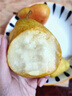 粤迎山东烟台太婆梨【JD顺丰送货上门】新鲜当季梨子软糯香甜大头蕉梨 1斤尝鲜装【当季尝鲜装-较不划算】净0.8斤 A+级精选果【单果100g+】甜 实拍图
