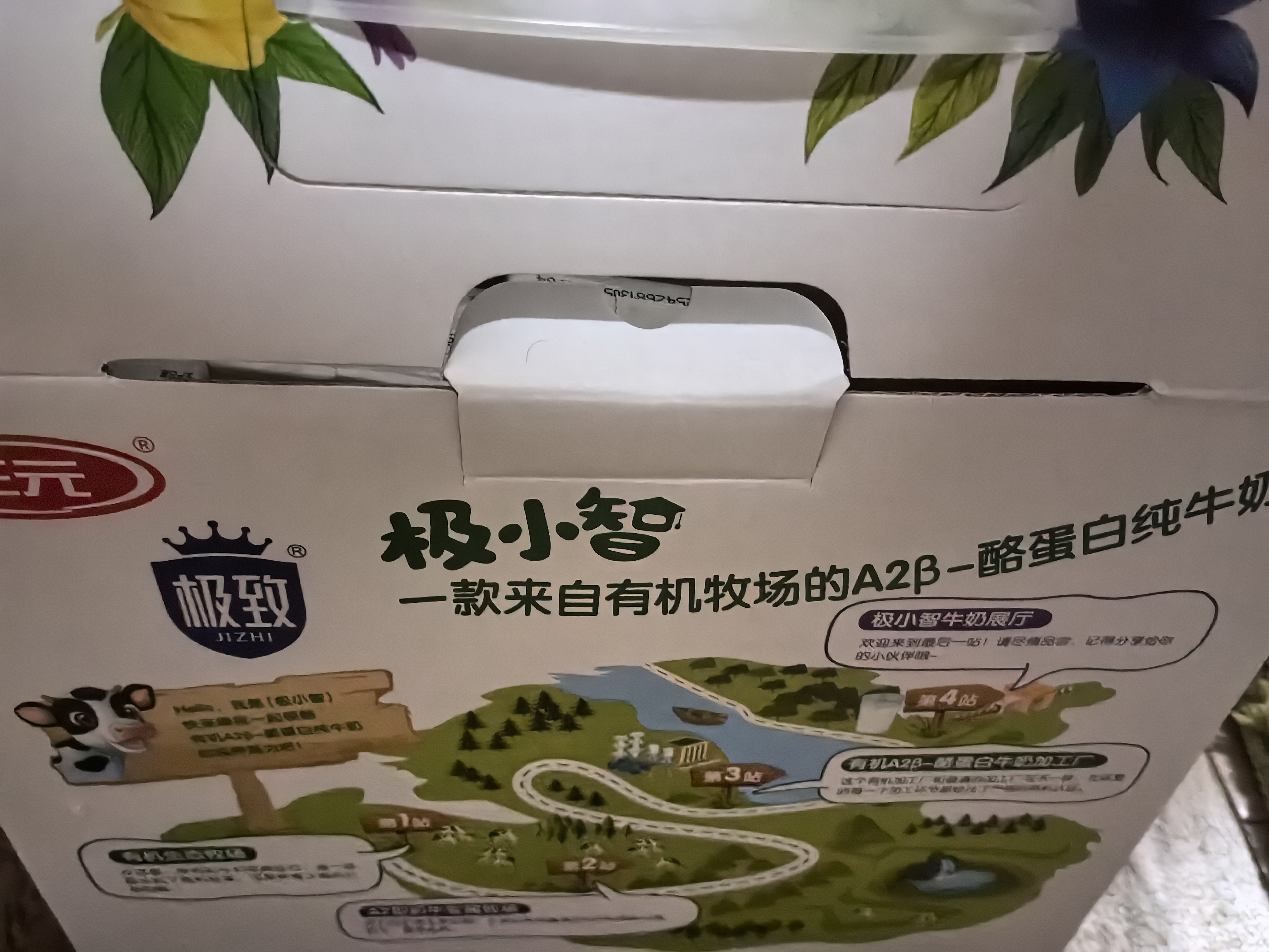 三元极致A2β-酪蛋白儿童有机纯牛奶200ml*10 整箱礼盒【丁禹兮同款】 实拍图