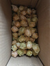 京觅东北姑娘果 2斤装净重 灯笼果黄菇娘洋姑娘果 新鲜水果 源头直发 实拍图