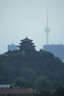 腾龙（Tamron）A057S 150-500mm F/5-6.7 Di III VC VXD防抖 拍鸟体育超长焦索尼全画幅微单镜头(索尼全幅E口) 实拍图