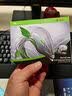 希捷（SEAGATE）台式机硬盘 4TB 5400转 256MB 机械硬盘 SATA 希捷酷鱼系列 电脑硬盘 3.5英寸 实拍图