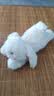 名创优品（MINISO）塔尼兔系列趴姿公仔毛绒玩具玩偶兔子娃娃抱枕生日礼物儿童节礼物 实拍图