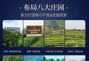 华祥庄园乌龙茶庄园·乐享50g凤凰单丛鸭屎香广东潮州优选口粮茶叶 实拍图