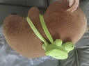 熊猫熊卡皮巴拉玩偶公仔布娃娃毛绒玩具大号送女孩生日礼物女生睡觉抱枕 实拍图