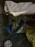 憨憨宠猫笼折叠猫笼子大号猫别墅加粗加密双层猫舍猫窝宠物猫咪用品家用 黑色 700双层 实拍图